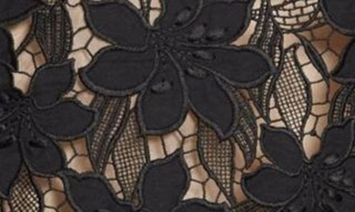 Shop Oscar De La Renta Tiger Lily Guipure Lace Shift Dress In Black