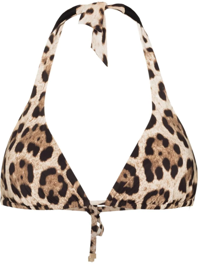 Shop Dolce & Gabbana Leopard Print Bikini Top In Brown