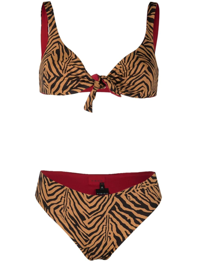 Shop Fisico Tiger-print Bikini In Neutrals