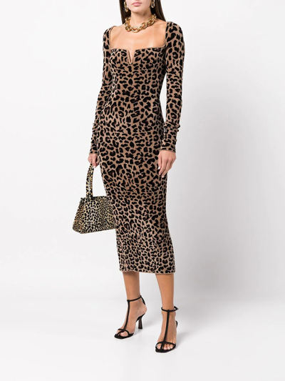Shop Galvan Freya Leopard-print Midi Dres In 褐色