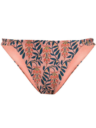 Agua By Agua Bendita Floral-print Bikini Bottoms In 粉色