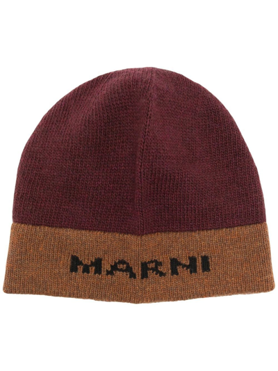 Shop Marni Logo-knit Beanie Hat In Brown