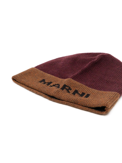 Shop Marni Logo-knit Beanie Hat In Brown