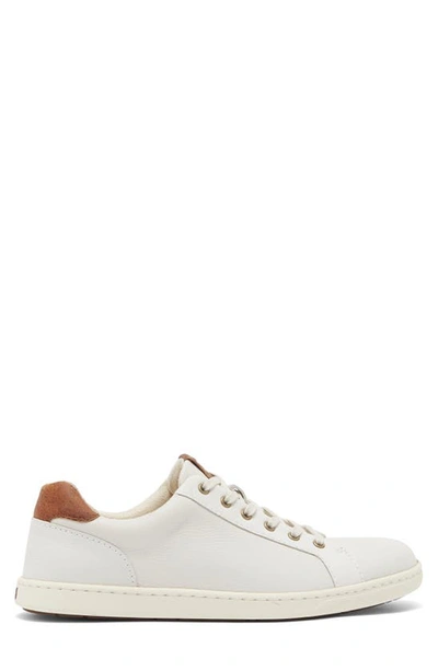 Brn Born Ashram Ii Lace-up Sneaker In White/ Dk Brown Sea Salt/ Rust