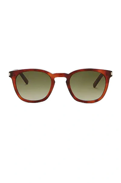 Shop Saint Laurent Sl 28 Sunglasses In Shiny Blond Havana & Gradient Green