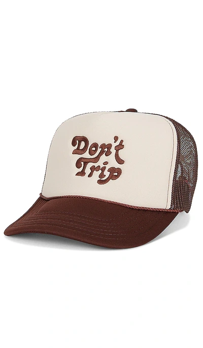Shop Free And Easy Trucker Hat In Chocolate