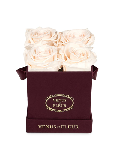 Shop Venus Et Fleur Petite Square Merlot Suede Box With Pure Blush Roses