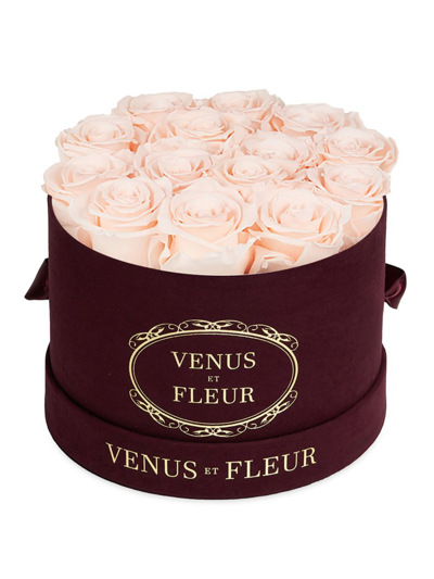 Shop Venus Et Fleur Small Merlot Suede Box With Pure Blush Roses