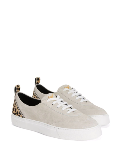 Shop Giuseppe Zanotti Zenas Low-top Sneakers In White