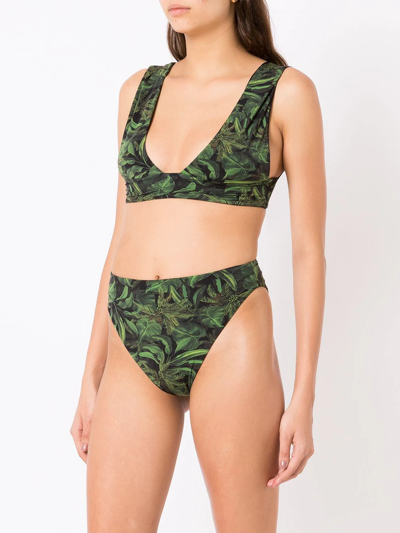 Shop Isolda Coqueiral Foliage-print Bikini Set In Black