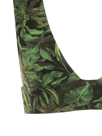 Isolda Coqueiral Foliage-print Bikini Set In Black