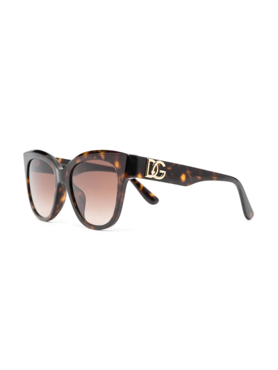 Shop Dolce & Gabbana Tortoise Butterfly Frame Sunglasses In Brown