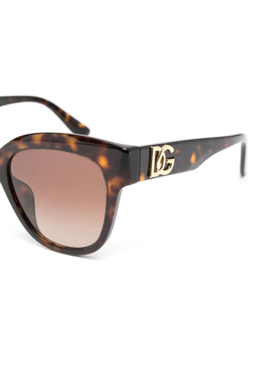 Shop Dolce & Gabbana Tortoise Butterfly Frame Sunglasses In Brown