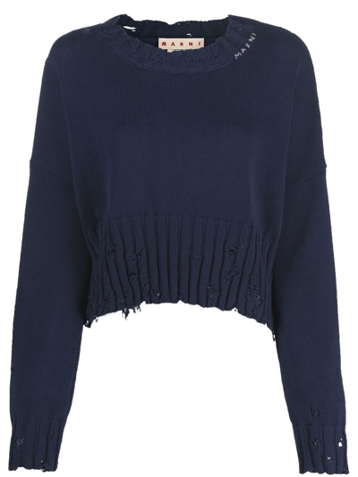 Shop Marni Distressed-finish Cropped Jumper In Blue