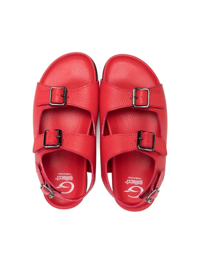 Shop Gallucci Teen Double-buckle Sandals In Red