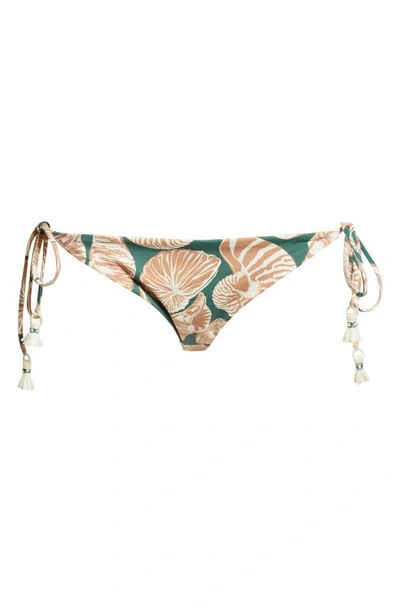 Johanna Ortiz Sunburn Shell Print Bikini Bottoms In Les Coquillages ...