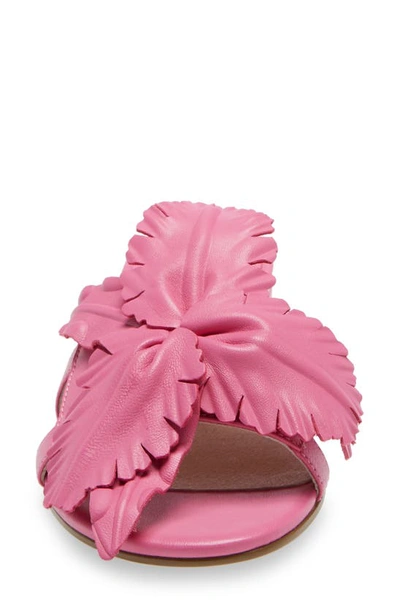 Shop Cecelia New York Lila Slide Sandal In Hot Pink Leather