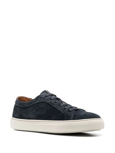 Shop Fratelli Rossetti Suede Lace-up Sneakers In Blue
