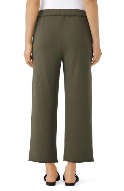 Shop Eileen Fisher Crop Straight Leg Organic Cotton Pants In Olive