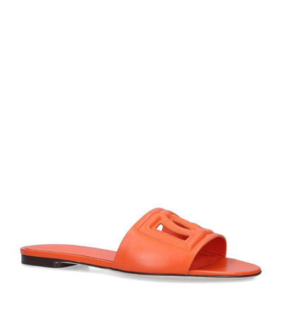 Shop Dolce & Gabbana Leather Dg Millennials Sandals In Orange