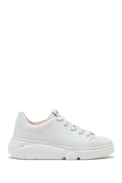 Shop Agl Attilio Giusti Leombruni Shiela Leather Chunky Sneaker In Off White