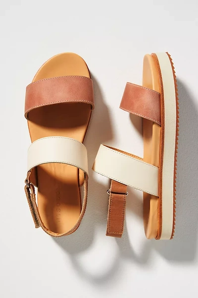Shop Nisolo Go-to Platform Sandals In Pink