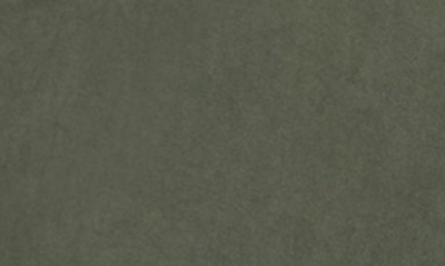 X-ray Cargo Shorts In Sage