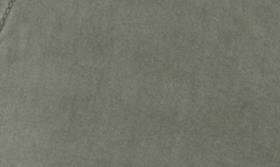 X-ray Cargo Shorts In Leaf Green
