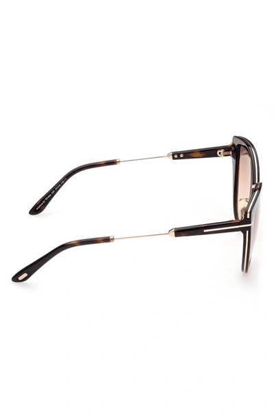 Shop Tom Ford 57mm Cat Eye Sunglasses In Dhav/ Brng