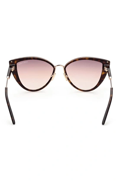 Shop Tom Ford 57mm Cat Eye Sunglasses In Dhav/ Brng