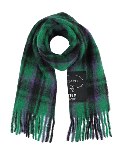 Shop Msgm Scarves In Green
