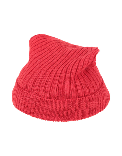 Shop Spadalonga Man Hat Red Size Onesize Virgin Wool
