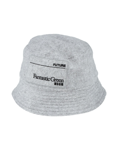 Shop Msgm Man Hat Light Grey Size S Wool, Polyamide