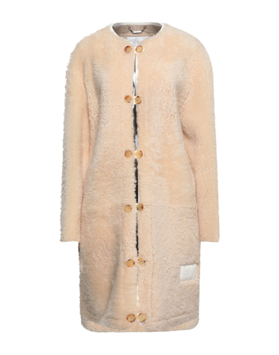 Shop Chloé Woman Coat Ivory Size 6 Shearling In White