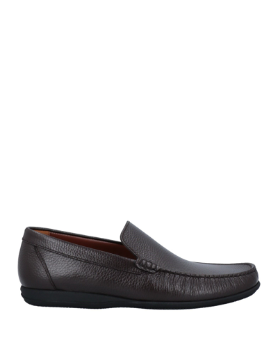 Shop A.testoni A. Testoni Man Loafers Dark Brown Size 8 Calfskin