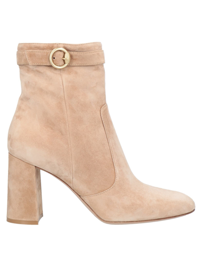 Shop Gianvito Rossi Ankle Boots In Blush