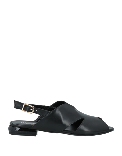 Shop Nila & Nila Sandals In Black