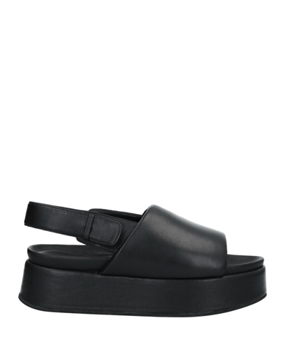 Shop Habille' Italy Sandals In Black
