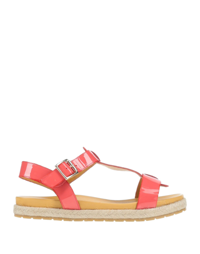 Shop Carlo Pazolini Woman Espadrilles Coral Size 6 Leather In Red