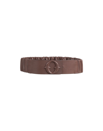 Shop Ottod'ame Belts In Cocoa