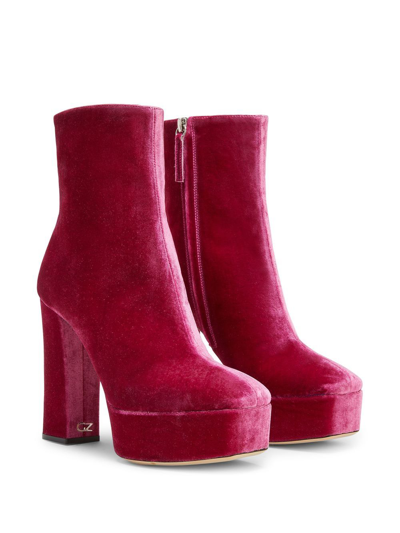 Giuseppe Zanotti Morgana In Rosa