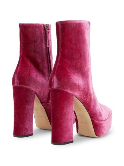 Giuseppe Zanotti Morgana In Rosa