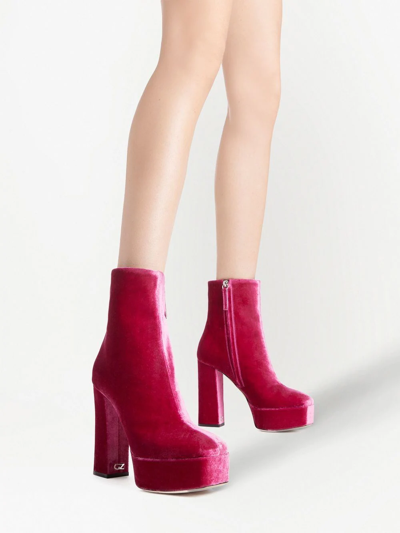 Giuseppe Zanotti Morgana In Rosa