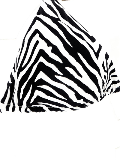 Shop Fisico Zebra Bikini Top In White
