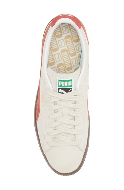 Shop Puma Suede Sneaker In Pristine/ Chili Oil/ Gum