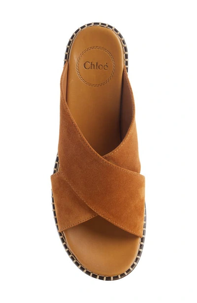 Shop Chloé Laia Platform Sandal In Caramello