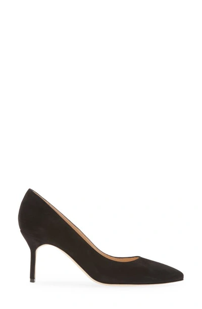 Shop Manolo Blahnik Bb Pointed Toe Pump In Black Suede