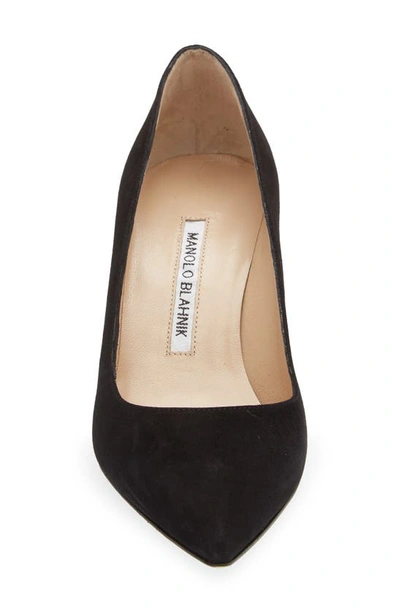 Shop Manolo Blahnik Bb Pointed Toe Pump In Black Suede