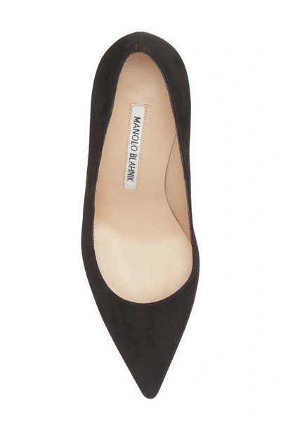 Shop Manolo Blahnik Bb Pointed Toe Pump In Black Suede