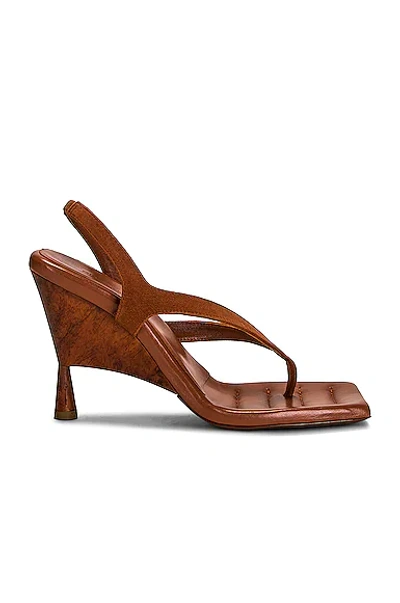 Shop Gia Borghini X Rhw Thong Wedge Sandal In Caramel